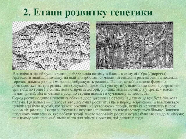 Розведення коней було відомо ще 6000 років потому в Еламі, к