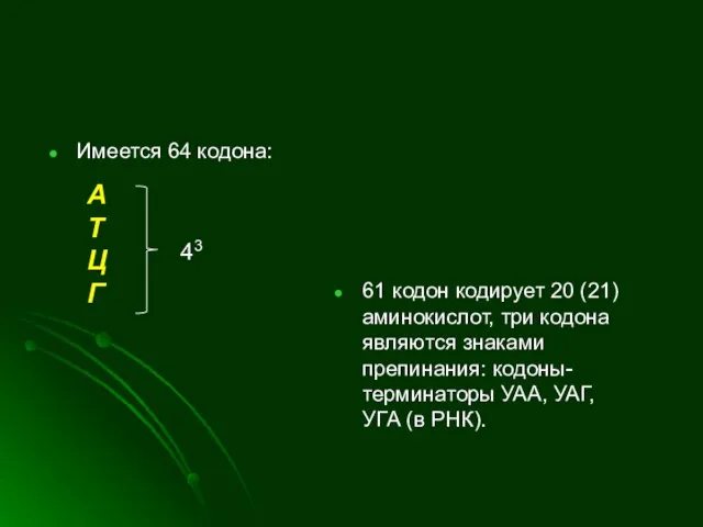 Имеется 64 кодона: 61 кодон кодирует 20 (21) аминокислот, три кодона