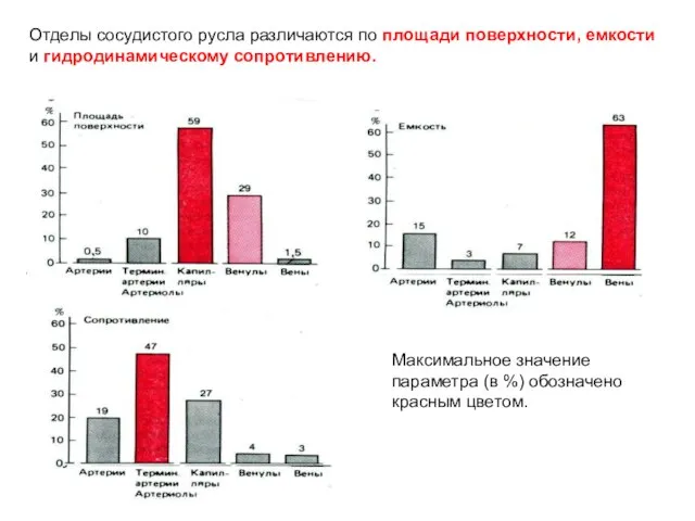 Отделы сосудистого русла различаются по площади поверхности, емкости и гидродинамическому сопротивлению.