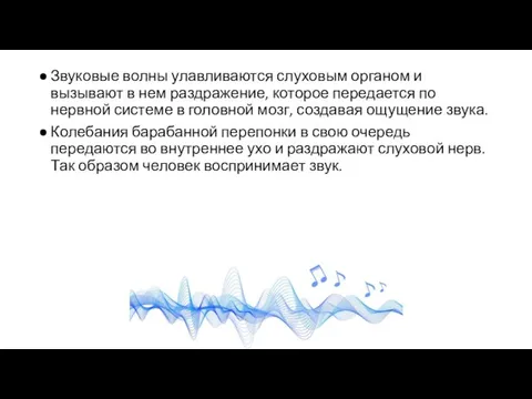 Звуковые волны улавливаются слуховым органом и вызывают в нем раздражение, которое