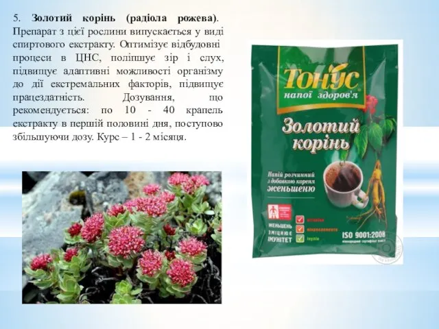 5. Золотий корінь (радіола рожева). Препарат з цієї рослини випускається у