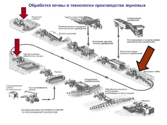 Обработка почвы в технологии производства зерновых