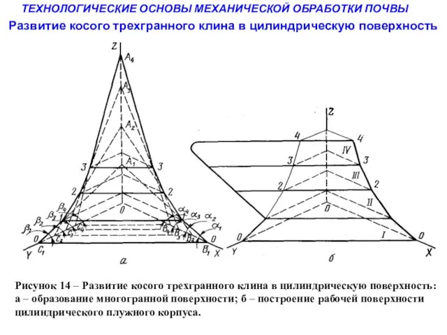 ТЕХНОЛОГИЧЕСКИЕ ОСНОВЫ МЕХАНИЧЕСКОЙ ОБРАБОТКИ ПОЧВЫ Рисунок 14 – Развитие косого трехгранного