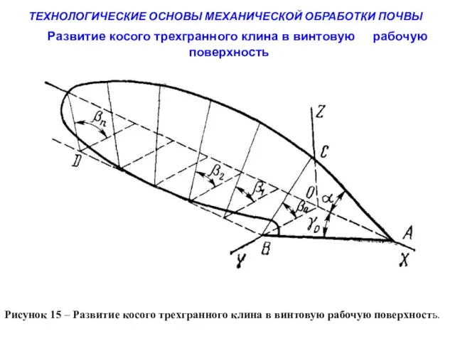 ТЕХНОЛОГИЧЕСКИЕ ОСНОВЫ МЕХАНИЧЕСКОЙ ОБРАБОТКИ ПОЧВЫ Рисунок 15 – Развитие косого трехгранного