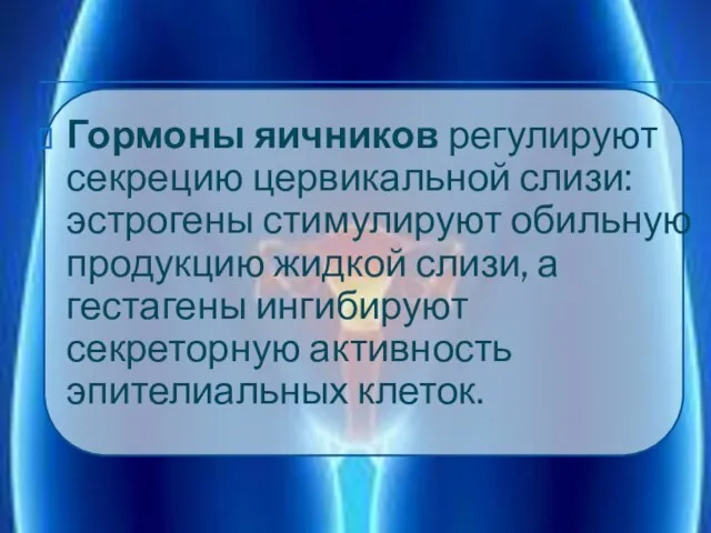 Гормоны яичников регулируют секрецию цервикальной слизи: эстрогены стимулируют обильную продукцию жидкой