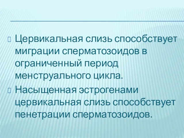 Цервикальная слизь способствует миграции сперматозоидов в ограниченный период менструального цикла. Насыщенная