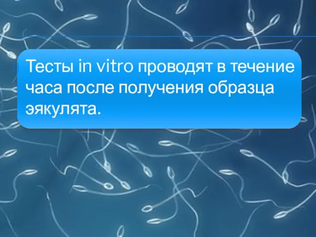 Тесты in vitro проводят в течение часа после получения образца эякулята.