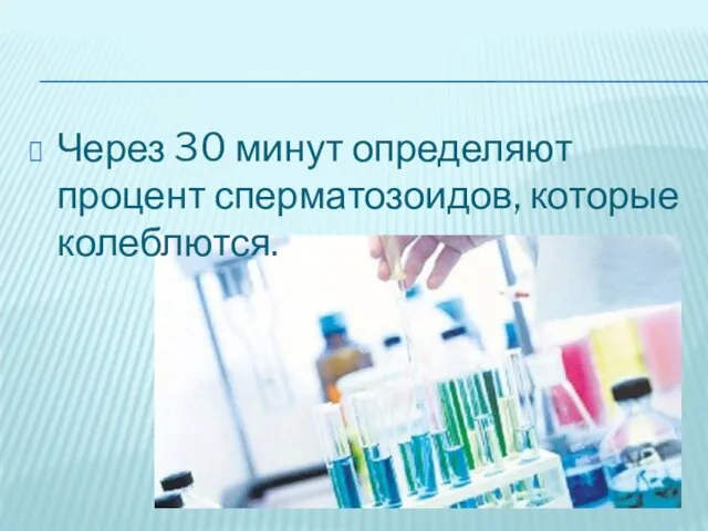 Через 30 минут определяют процент сперматозоидов, которые колеблются.