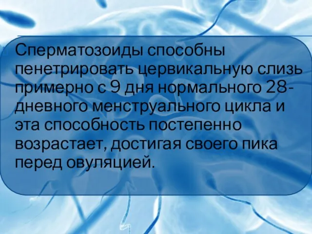 Сперматозоиды способны пенетрировать цервикальную слизь примерно с 9 дня нормального 28-