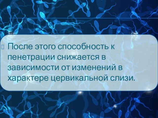 После этого способность к пенетрации снижается в зависимости от изменений в характере цервикальной слизи.