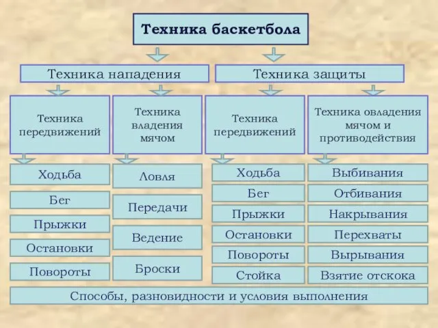 Техника баскетбола Техника нападения Техника защиты Техника передвижений Техника владения мячом