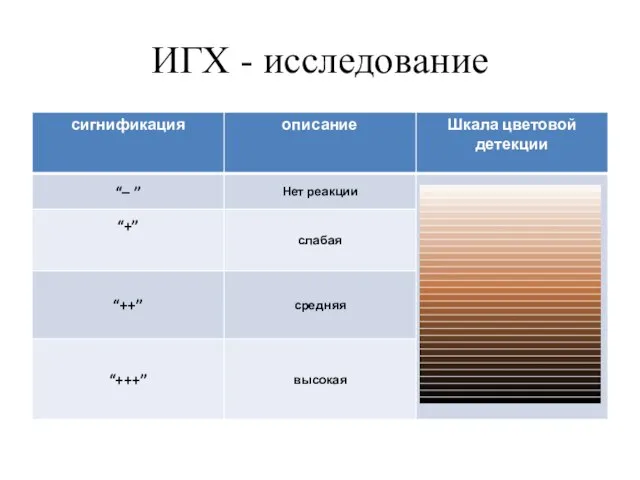 ИГХ - исследование