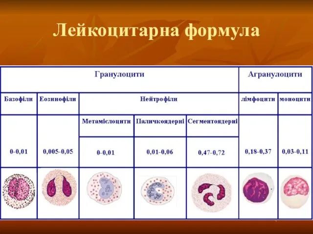 Лейкоцитарна формула