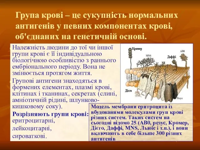 Група крові – це сукупність нормальних антигенів у певних компонентах крові,