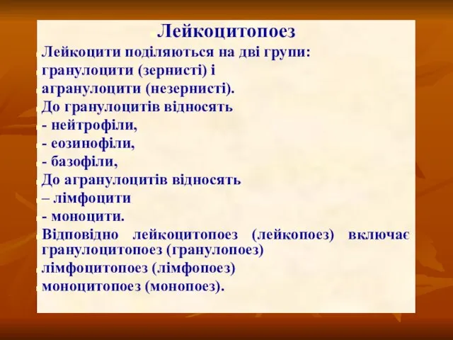 Лейкоцитопоез Лейкоцити поділяються на дві групи: гранулоцити (зернисті) і агранулоцити (незернисті).