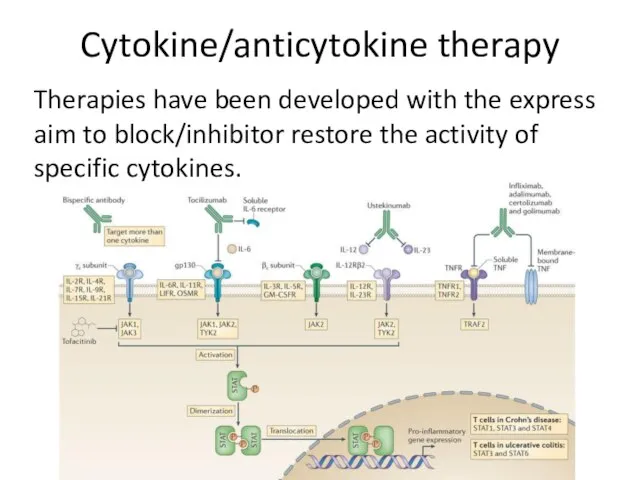 Cytokine/anticytokine therapy Therapies have been developed with the express aim to