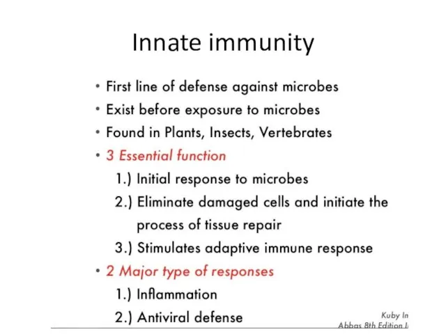 Innate immunity