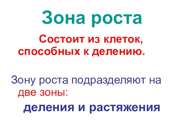 Зона роста Состоит из клеток, способных к делению. Зону роста подразделяют