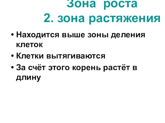 Зона роста 2. зона растяжения Находится выше зоны деления клеток Клетки