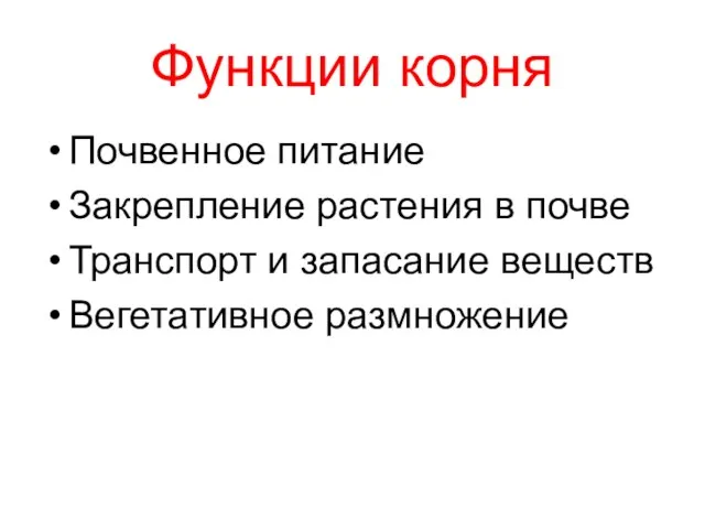 Функции корня Почвенное питание Закрепление растения в почве Транспорт и запасание веществ Вегетативное размножение