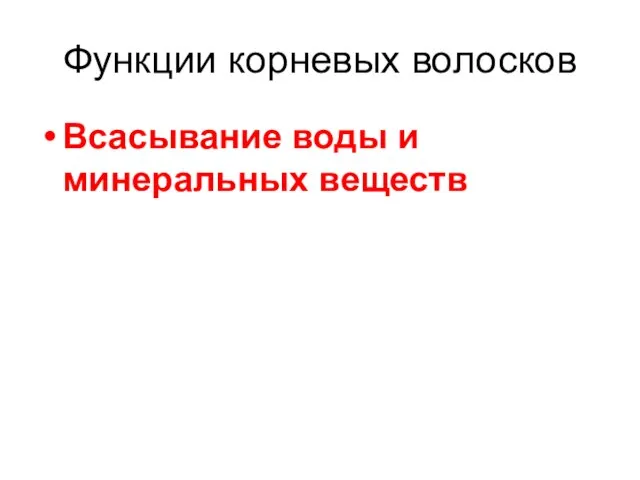 Функции корневых волосков Всасывание воды и минеральных веществ