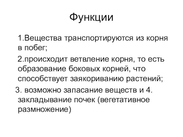 Функции 1.Вещества транспортируются из корня в побег; 2.происходит ветвление корня, то