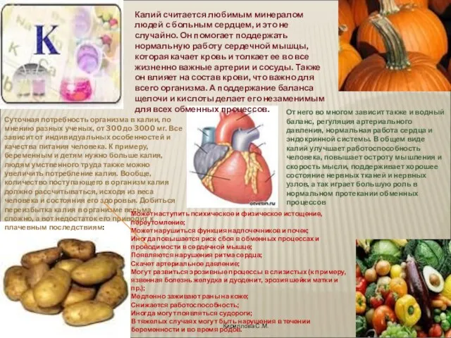 Кириллова С.М. Калий считается любимым минералом людей с больным сердцем, и