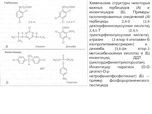 Химические структуры некоторых важных гербицидов (А) и инсектицидов (Б). Примеры галогенированных