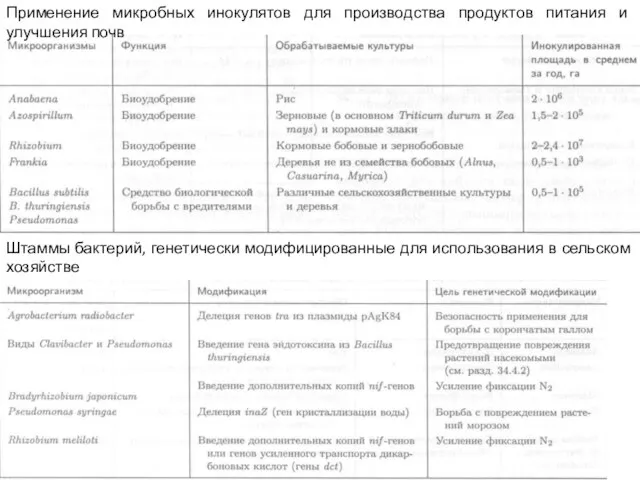 Применение микробных инокулятов для производства продуктов питания и улучшения почв Штаммы