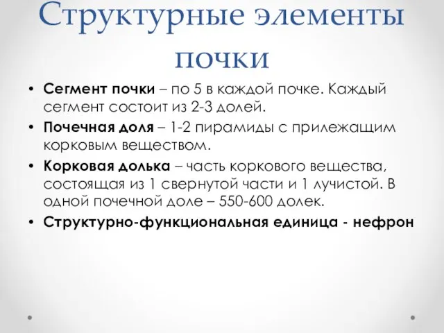 Структурные элементы почки Сегмент почки – по 5 в каждой почке.