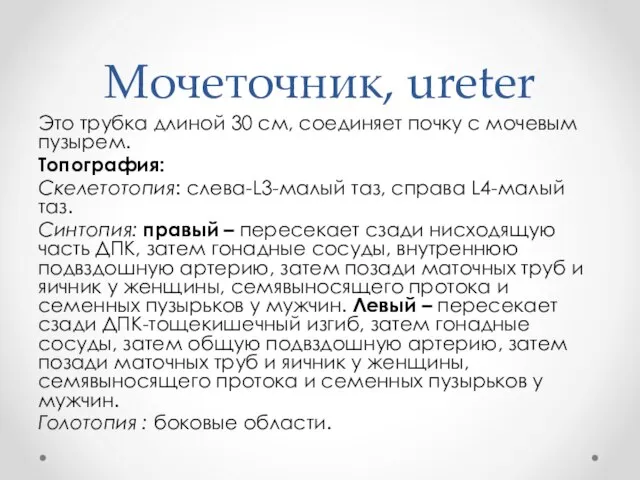 Мочеточник, ureter Это трубка длиной 30 см, соединяет почку с мочевым