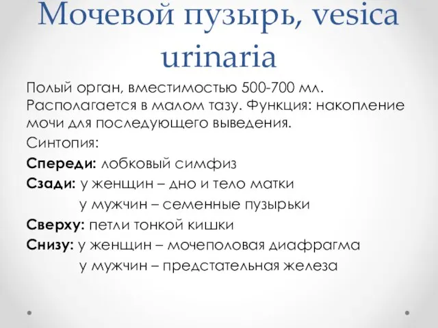 Мочевой пузырь, vesica urinaria Полый орган, вместимостью 500-700 мл. Располагается в