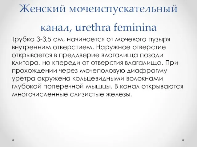 Женский мочеиспускательный канал, urethra feminina Трубка 3-3,5 см, начинается от мочевого