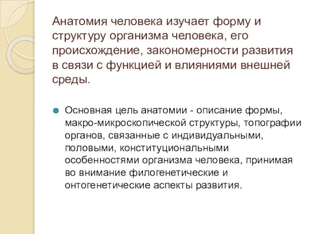 Анатомия человека изучает форму и структуру организма человека, его происхождение, закономерности