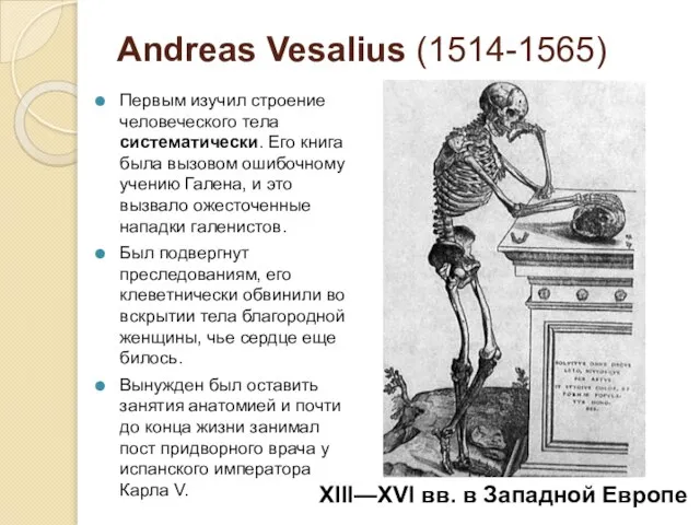 Andreas Vesalius (1514-1565) Первым изучил строение человеческого тела систематически. Его книга