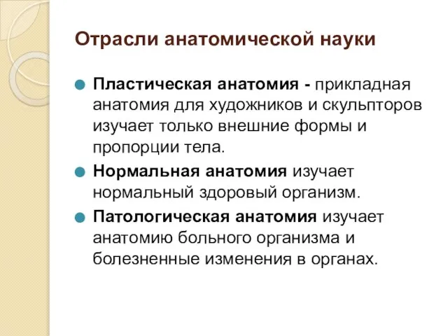 Отрасли анатомической науки Пластическая анатомия - прикладная анатомия для художников и