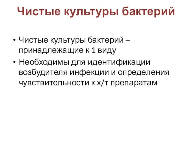 Чистые культуры бактерий Чистые культуры бактерий – принадлежащие к 1 виду