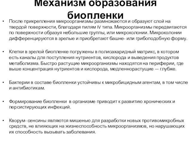 Механизм образования биопленки После прикрепления микроорганизмы размножаются и образуют слой на