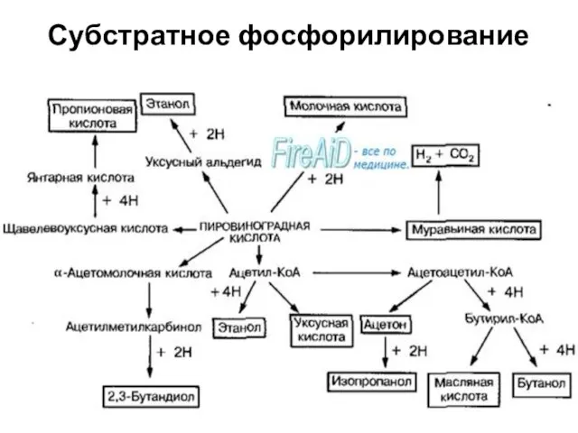 Субстратное фосфорилирование