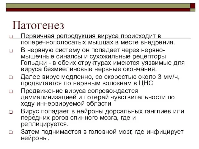 Патогенез Первичная репродукция вируса происходит в поперечнополосатых мышцах в месте внедрения.