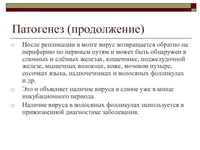 Патогенез (продолжение) После репликации в мозге вирус возвращается обратно на периферию