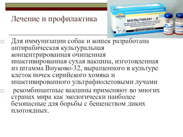 Лечение и профилактика Для иммунизации собак и кошек разработана антирабическая культуральная