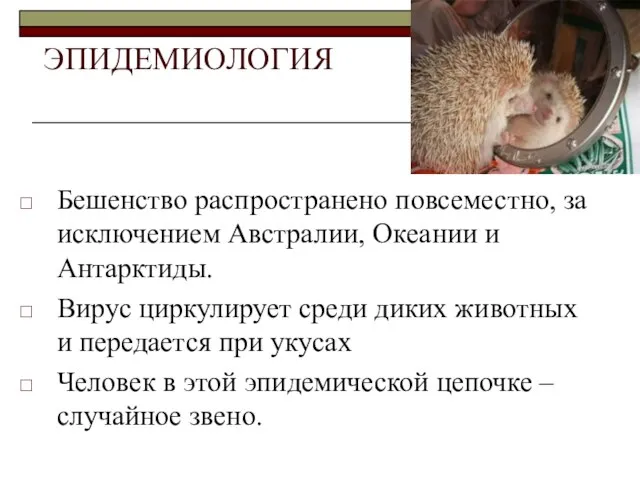 ЭПИДЕМИОЛОГИЯ Бешенство распространено повсеместно, за исключением Австралии, Океании и Антарктиды. Вирус