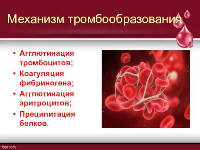 Механизм тромбообразования Агглютинация тромбоцитов; Коагуляция фибриногена; Агглютинация эритроцитов; Преципитация белков.