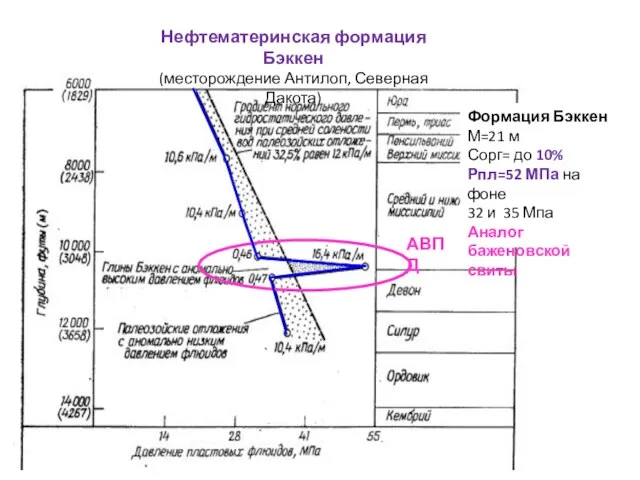 Нефтематеринская формация Бэккен (месторождение Антилоп, Северная Дакота) Формация Бэккен М=21 м