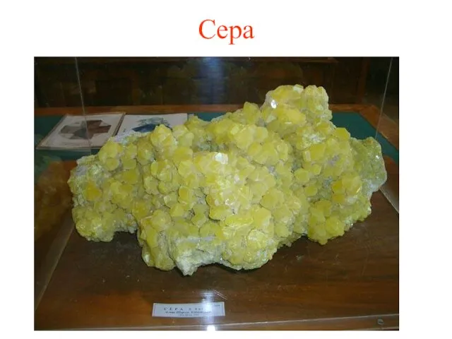 Сера