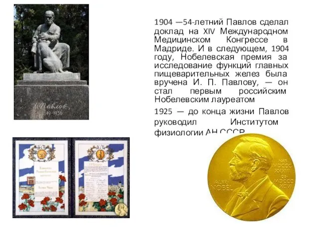 1904 —54-летний Павлов сделал доклад на XIV Международном Медицинском Конгрессе в