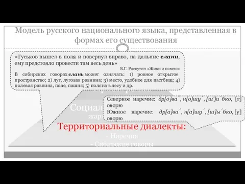 Модель русского национального языка, представленная в формах его существования Северное наречие: