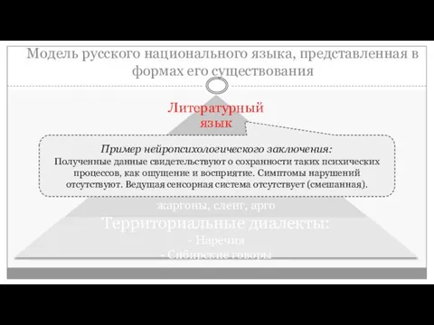 Модель русского национального языка, представленная в формах его существования Пример нейропсихологического