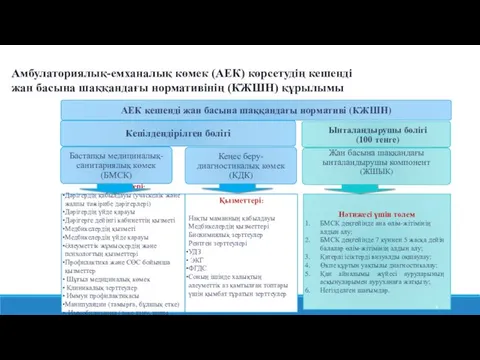 Амбулаториялық-емханалық көмек (АЕК) көрсетудің кешенді жан басына шаққандағы нормативінің (КЖШН) құрылымы